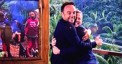 Viewers adored Dec’s Ant joke that kick-started I’m a Celebrity… Get Me Out of Here!