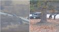 Dramatic footage shows North Korean solider escaping into South Korea