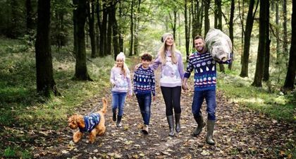 Aldi are selling Christmas jumpers for your dog