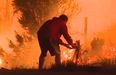 WATCH: Man pulls over to save rabbit from roadside as fires blaze in California