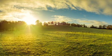 Today’s weather forecast is the one we’ve all been waiting for