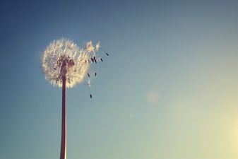 Met Éireann issue Storm Dylan weather warning updates