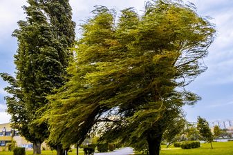 Met Éireann issues Status Yellow wind warning for two counties