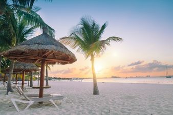 Sligo man amongst final candidates for dream job in Mexico that pays $10,000 a month