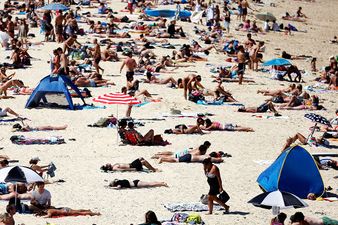 Sydney experiences hottest day since 1939 as temperature hits 47.3°C