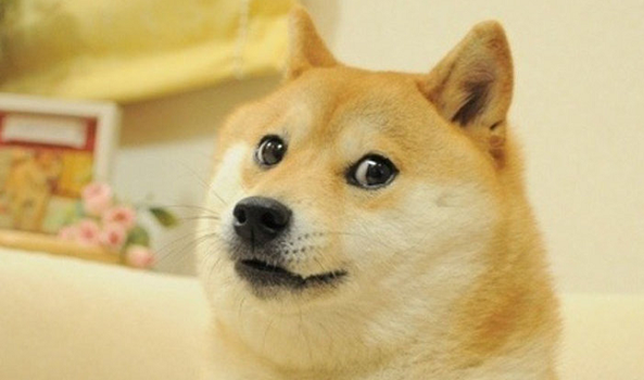 Dogecoin | JOE.ie