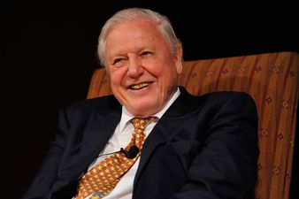 David Attenborough has revealed exactly when he’ll go into retirement