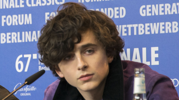 Timothee Chalamet | JOE.ie