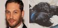 Living legend Tom Hardy has helped these abandoned puppies find a new home