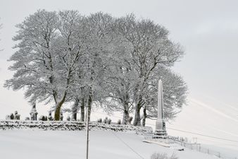 Man builds a car out of snow as a prank, police give it parking ticket