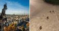 Rats spotted scampering outside of popular tourist spot in Paris as the Seine overflows