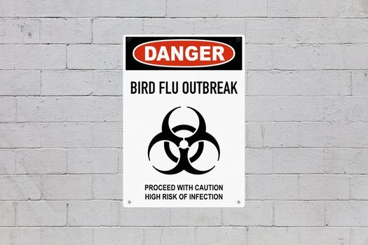 bird flu