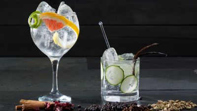 There’s now a job that will pay you to drink gin while travelling the world