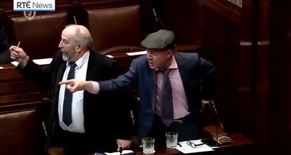 WATCH: Dáil briefly suspended following massive row between three TDs