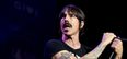 Red Hot Chili Peppers fan discovers why you should always read the small print ahead of Belfast gig
