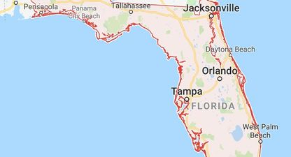 Multiple fatalities confirmed following shooting at a high school in Florida