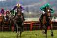 Everything you need to know ahead of the Paddy Power Cheltenham Trials