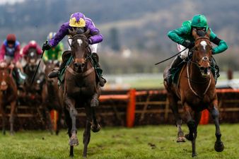 Everything you need to know ahead of the Paddy Power Cheltenham Trials