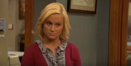 Stars of hit show Parks and Rec take to Twitter to tell the NRA to “f*** off” and “eat s***”