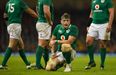 Ireland’s Jamie Heaslip has retired from professional rugby