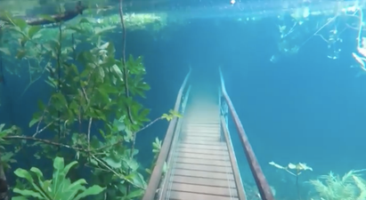 Torrential rain causes hiking trail in Brazil to turn into crystal clear underwater world