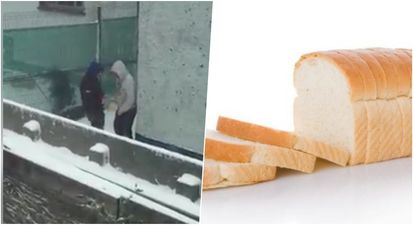 Video of dodgy bread dealings in Louth has gone viral during snowy weather