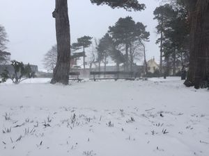 Blood donations urgently needed after last week’s massive storm in Ireland