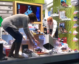 WATCH: A bird tied the staff at a Dublin shoe store in knots after getting stuck in its window display