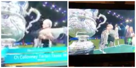 WATCH: Every dog owner will relate to this woman protecting her dog at the Crufts final