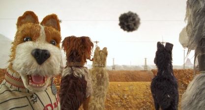 You can now bring your dog to the cinema – for one glorious day only