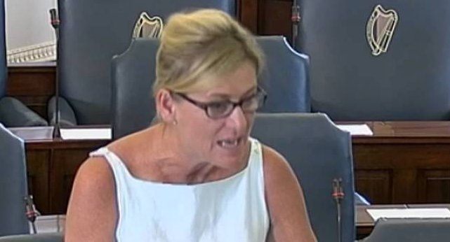 Senator Máire Devine