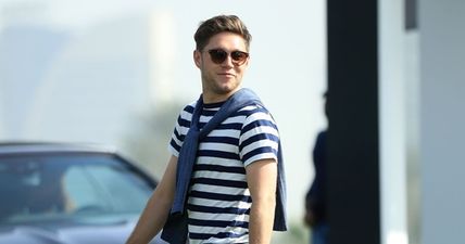 Here’s some of the famous faces that urged Irish people to vote