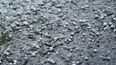 Temperatures to fall below zero this weekend as hail and showers expected
