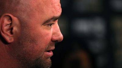 Dana White explains how McGregor got into building, claims warrant is out for his arrest