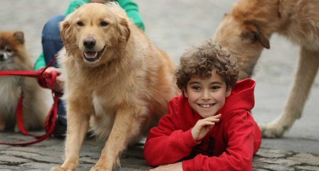 Pets In The City Festival Dublin 2018