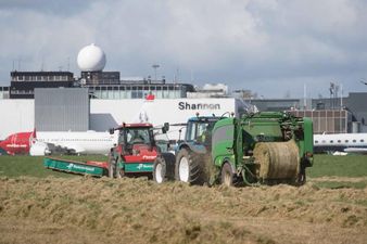Shannon Airport’s gesture to struggling farmers is pure class