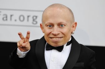 Actor Verne Troyer has died at the age of 49