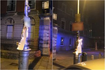 Dublin Fire Brigade called to extinguish referendum posters which had been set alight