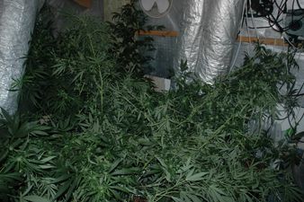 PICS: Dublin house fire leads Gardaí to uncover sophisticated cannabis grow house