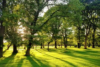 Met Éireann reveals Ireland’s hottest spots over the long weekend