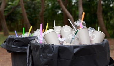 Westport to become Ireland’s first plastic straw-free town