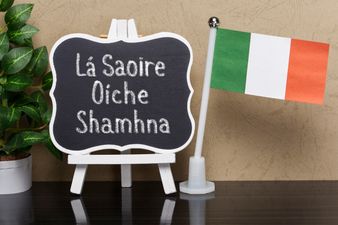 QUIZ: Can you remember what all these Irish phrases from school mean?