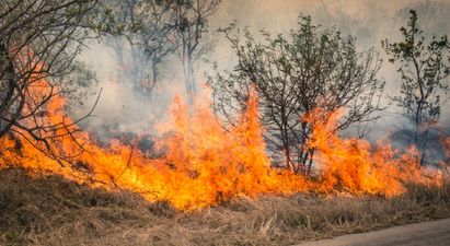 The Department of Agriculture has issued a fire warning for Ireland