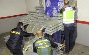 Five arrested after seizure of cannabis worth €3.4 million hidden in lettuce on lorry bound for Ireland