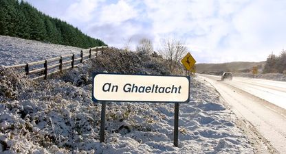 Can you get 15/15 in this simple Irish language quiz?