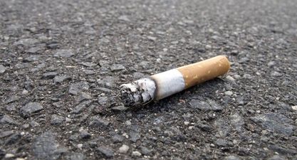 “Don’t discriminate against smokers” – Campaigners respond to proposed €100 increase in on-the-spot litter fines