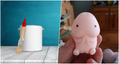 PICS: Irish woman’s plea for help with a very NSFW DIY problem has gone viral