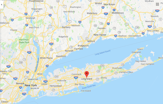 Irishman Long island