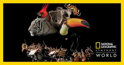 Epic National Geographic outdoor gig headed for Limerick