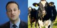Leo Varadkar will be taking questions from the public tonight… while standing on a farm